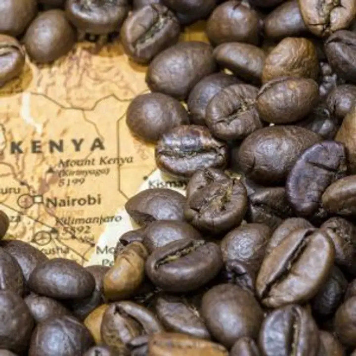 Cafea Kenya 100g