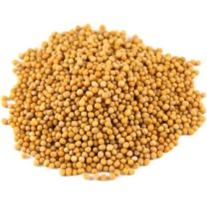 Mustar boabe 100g