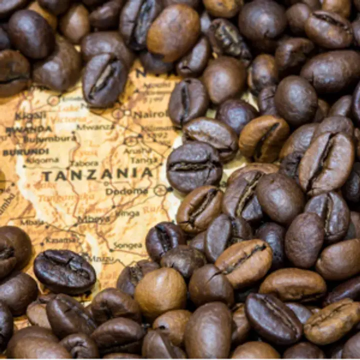 Cafea Tanzania Kilimanjaro 100g