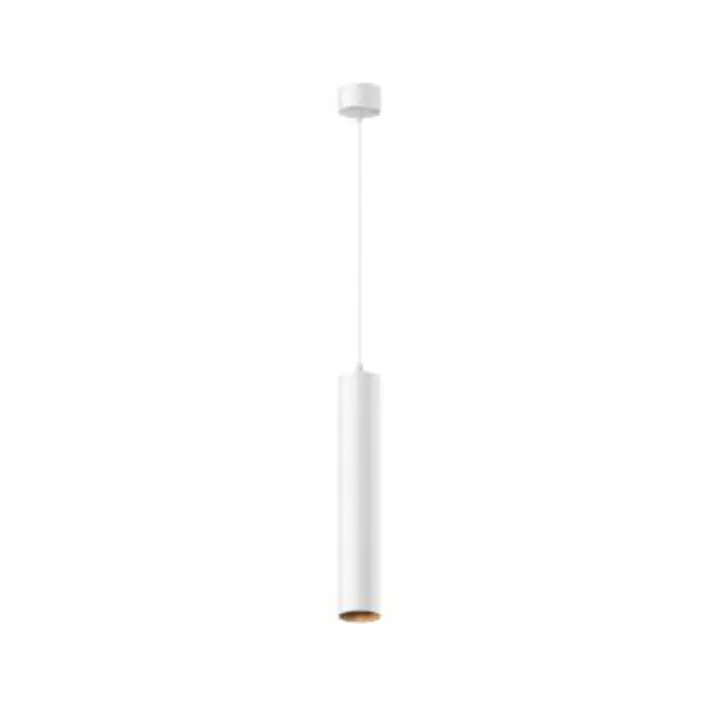 Pendant luminaire P072PL-L12W3K-1