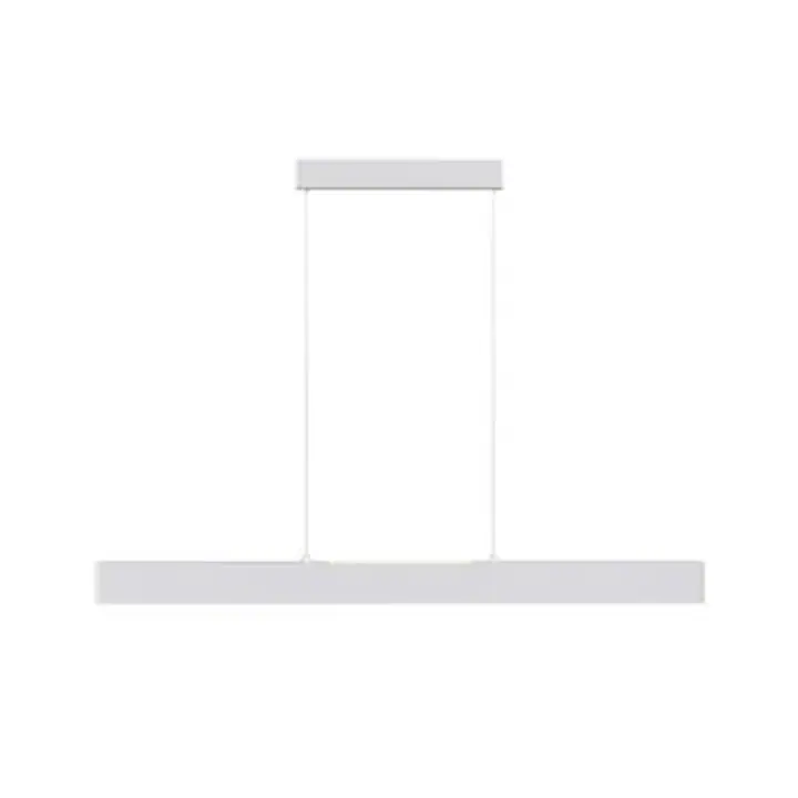 Pendant luminaire P010PL-L30W