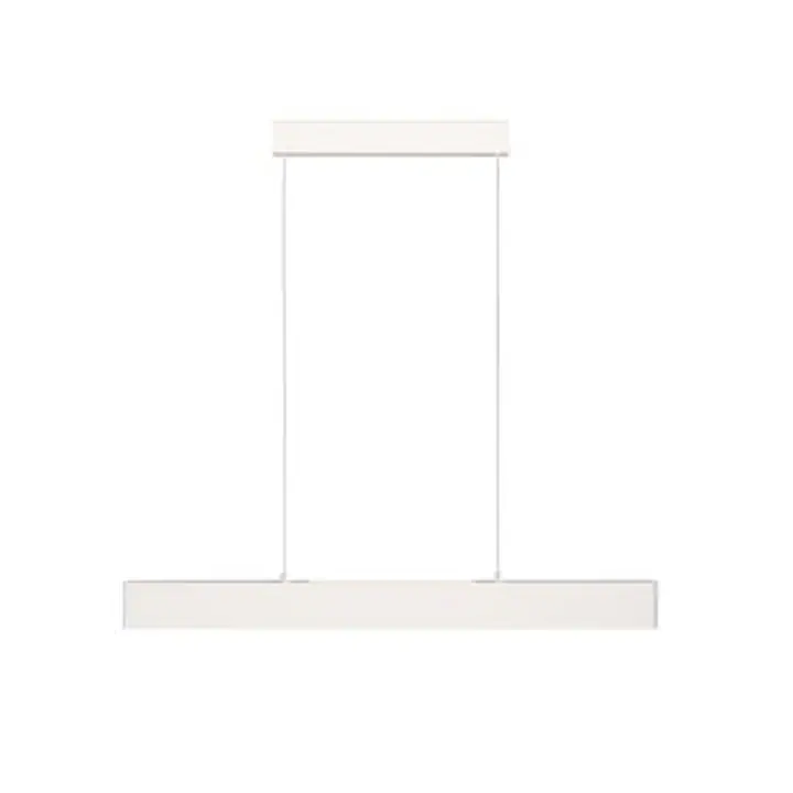 Pendant luminaire P010PL-L23W