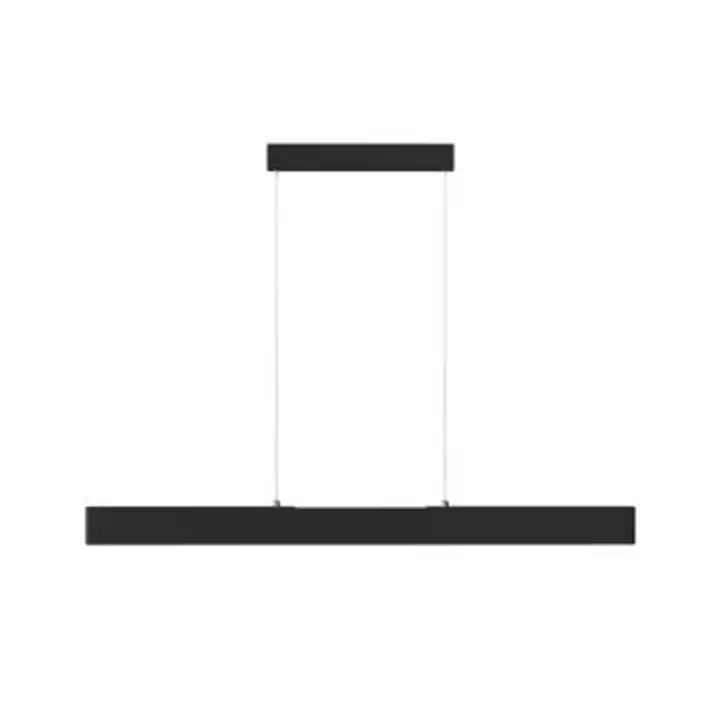 Pendant luminaire P010PL-L30B