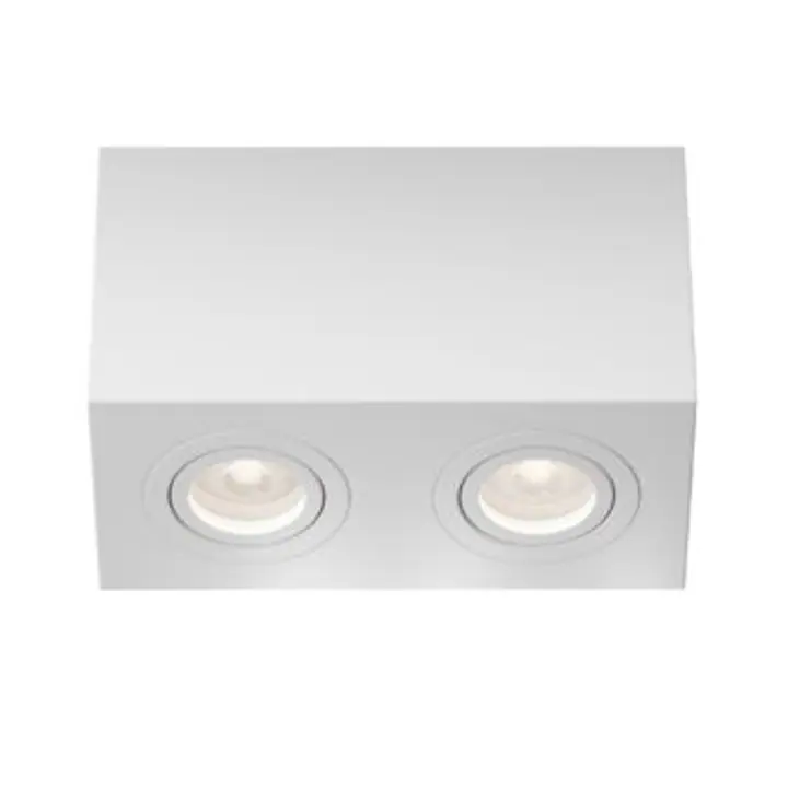 Ceiling luminaire C017CL-02W