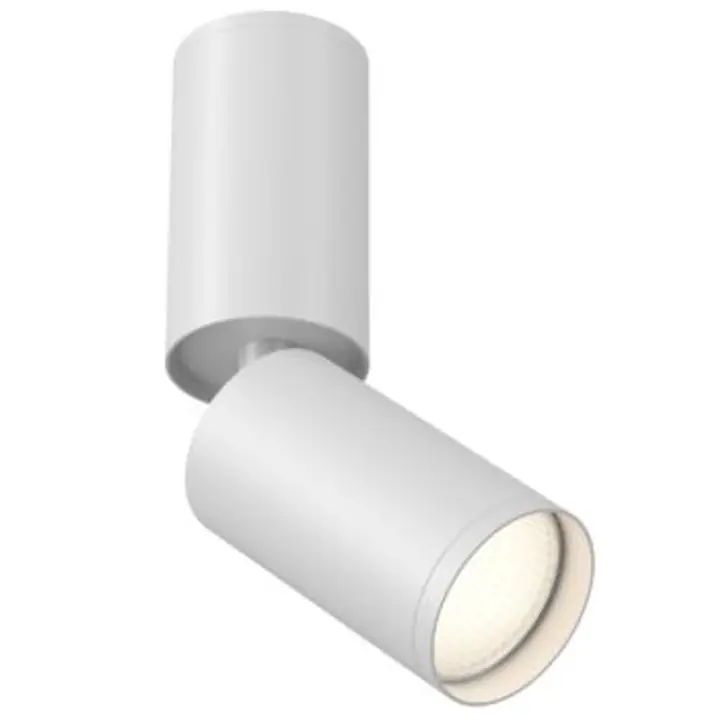 Ceiling luminaire C051CL-01W