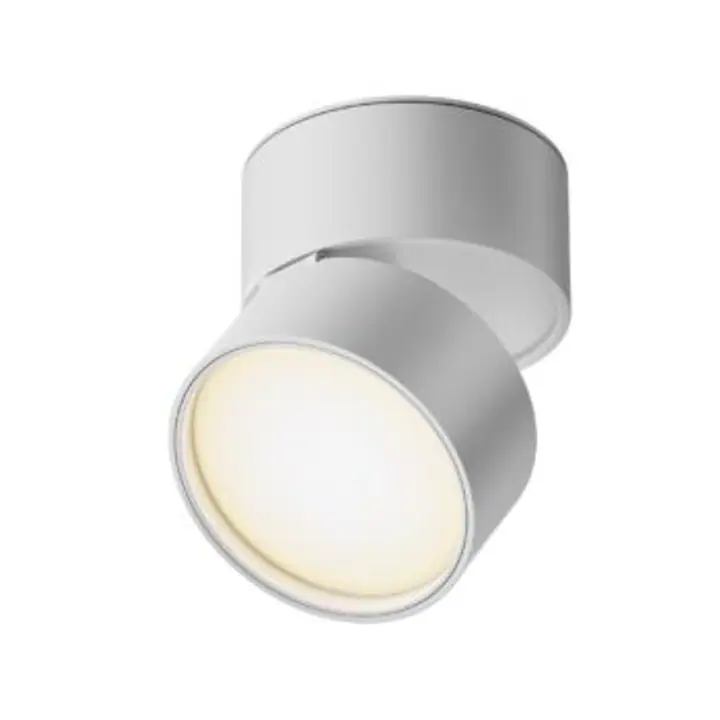 Ceiling luminaire C024CL-L12W3K