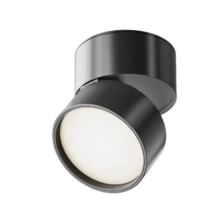 Ceiling luminaire C024CL-L12B4K