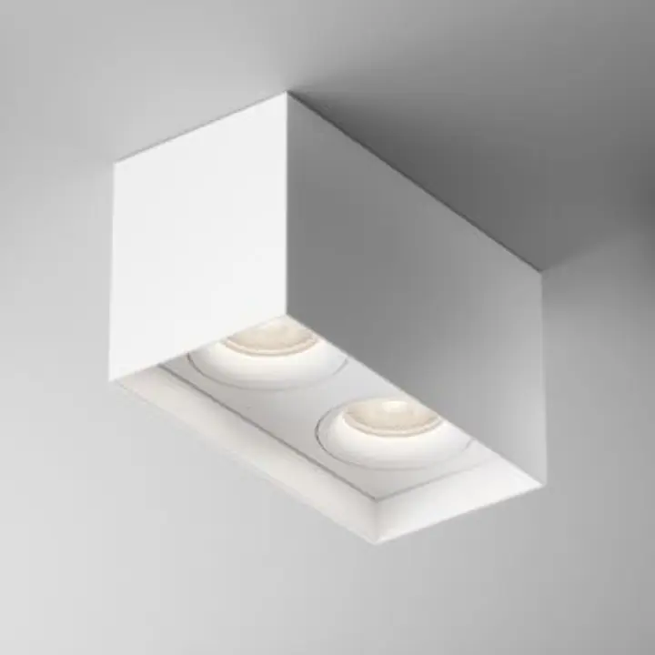 Ceiling luminaire C015CL-02W