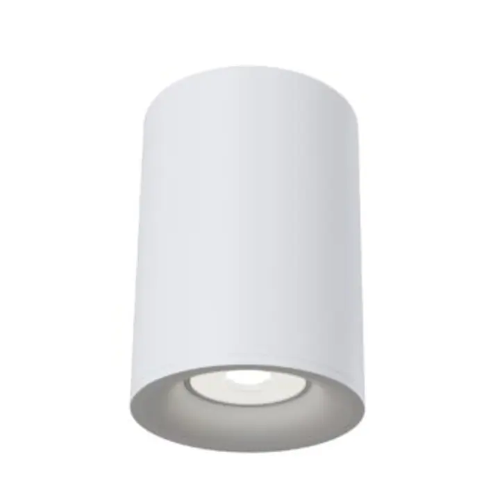 Ceiling luminaire C012CL-01W