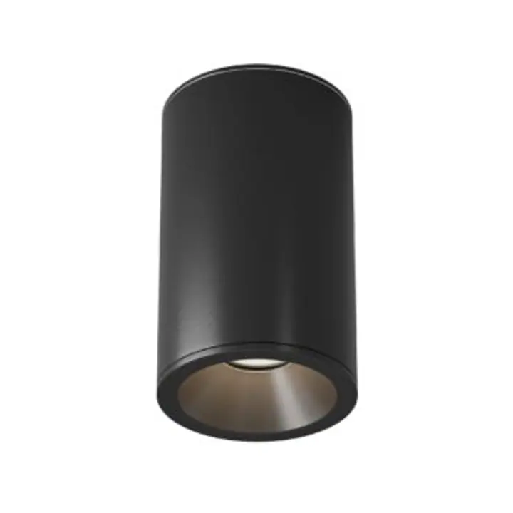 Ceiling luminaire C029CL-01-S-B