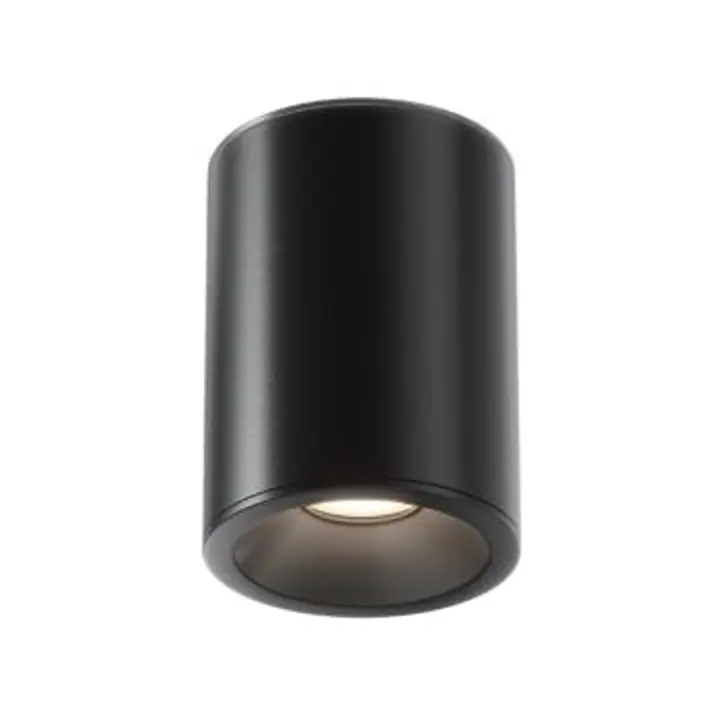 Ceiling luminaire C029CL-01B
