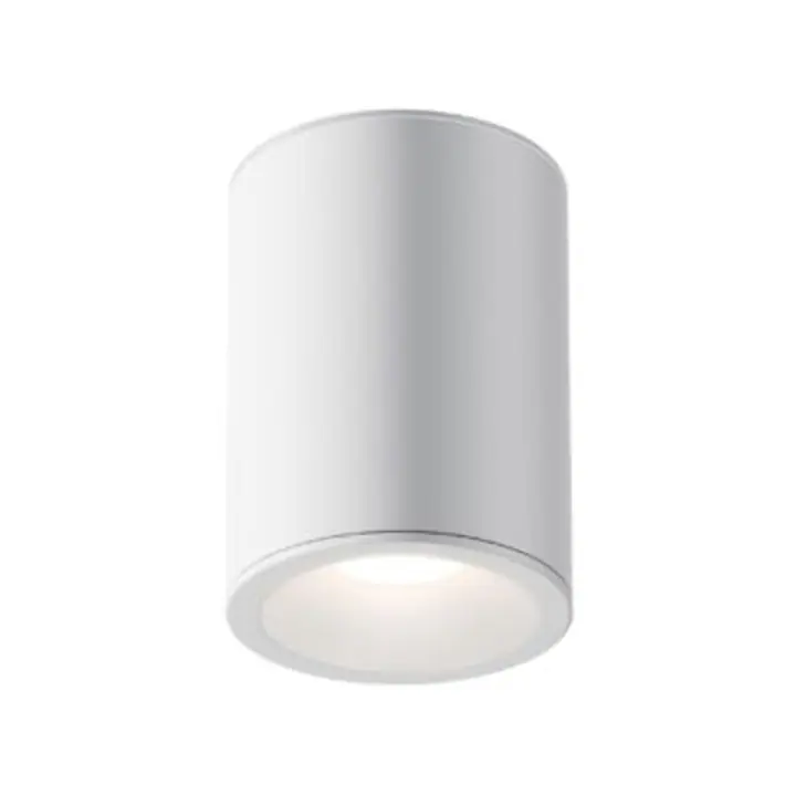 Ceiling luminaire C029CL-01W