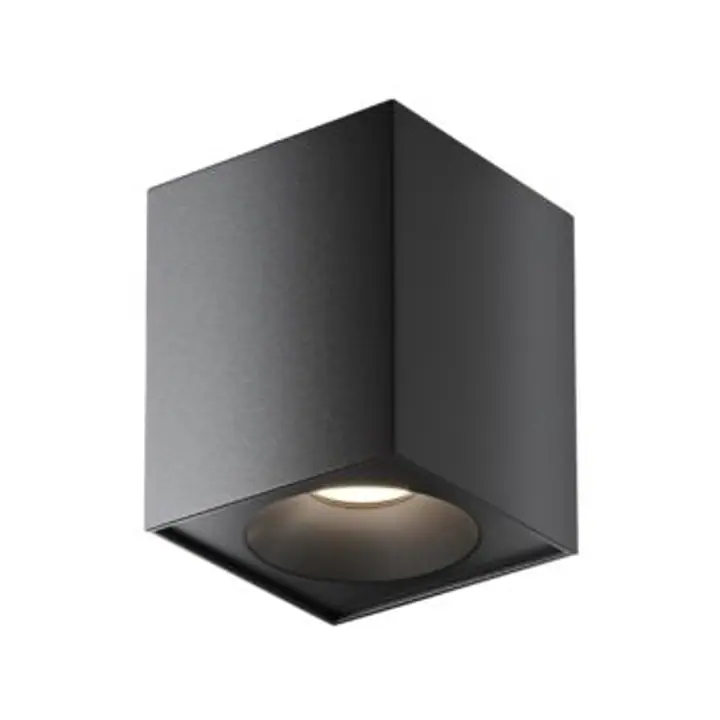 Ceiling luminaire C030CL-01B