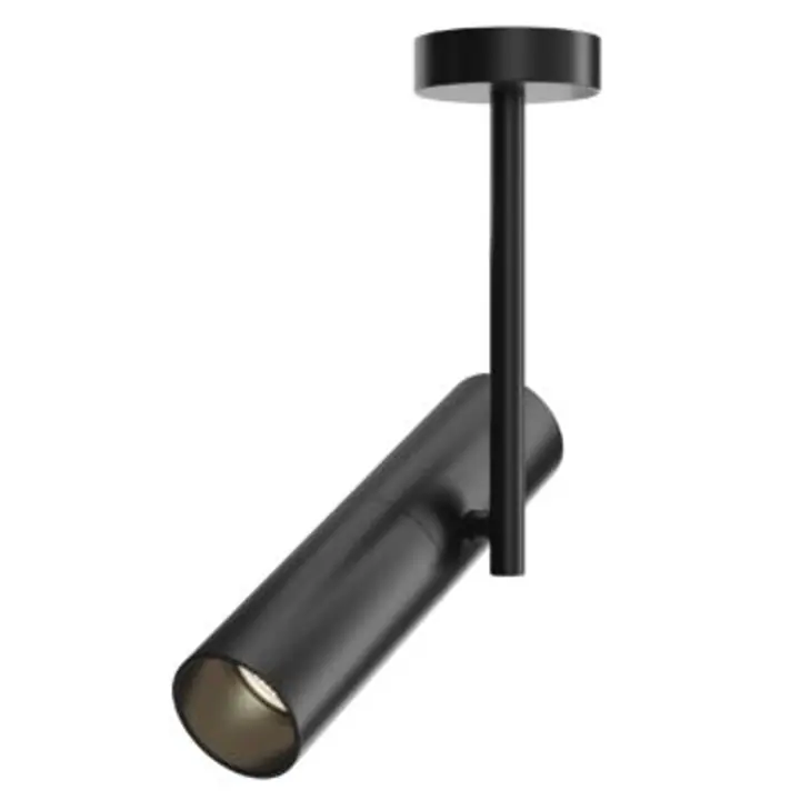 Ceiling luminaire C020CL-01B