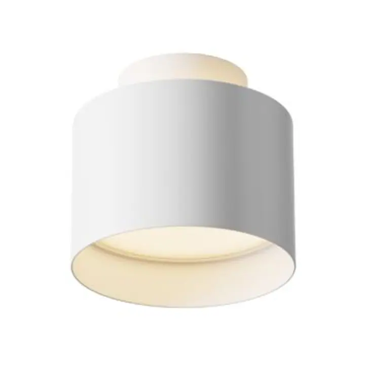 Ceiling luminaire C009CW-L12W