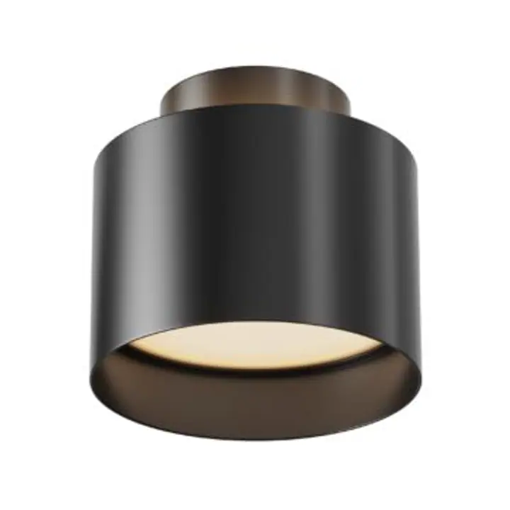 Ceiling luminaire C009CW-L12B