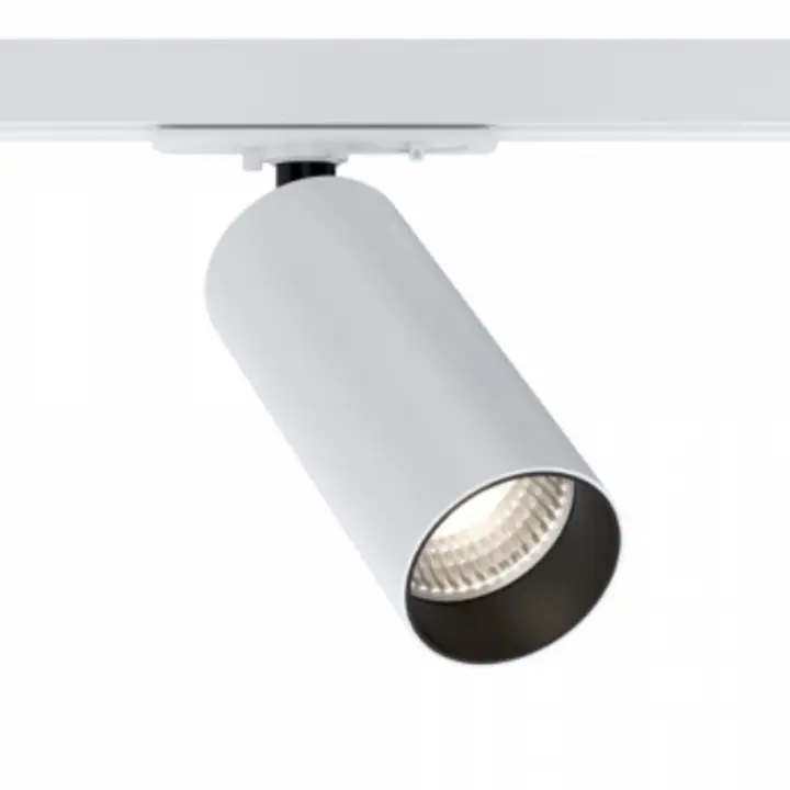 Track Luminaire TR021-1-12W4K-W-D-W