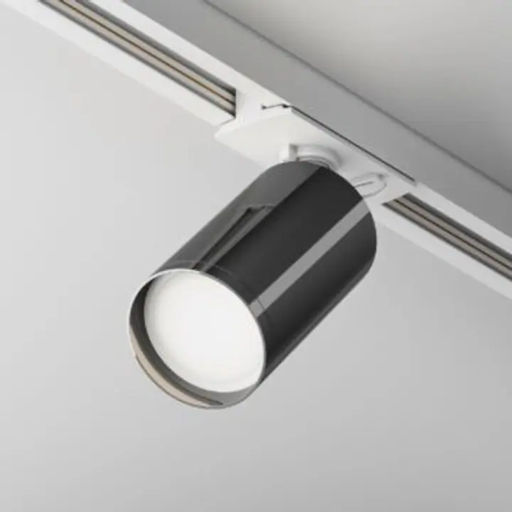 Track Luminaire TR020-1-U-GU10-WGF