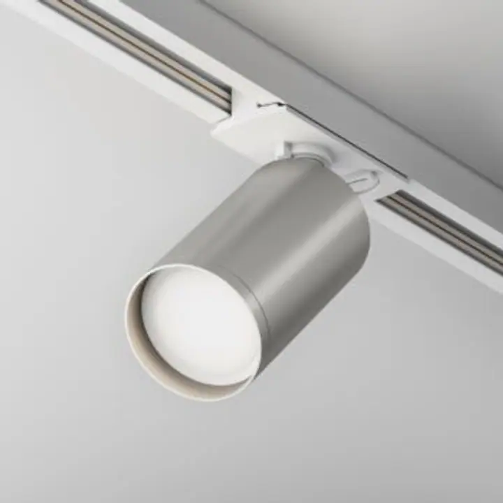 Track Luminaire TR020-1-U-GU10-WS