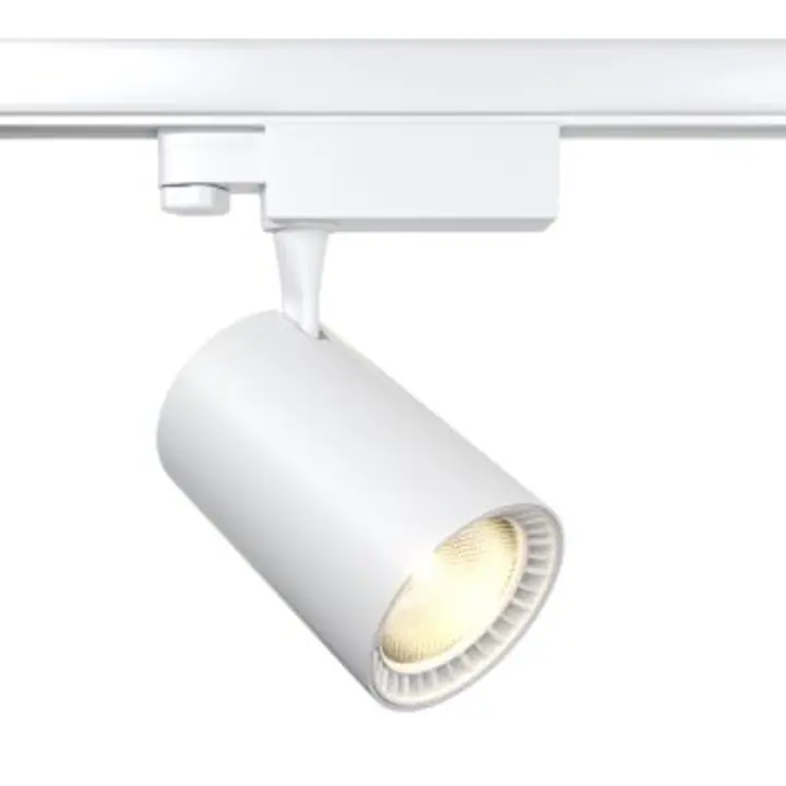 Track luminaire TR029-3-20W4K-W