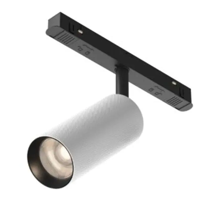 Track luminaire TR097-2-12W4K-M-BW