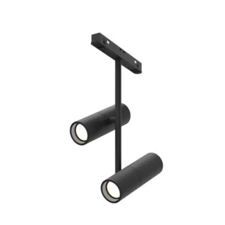Track luminaire TR005-2-2X12W3K-B