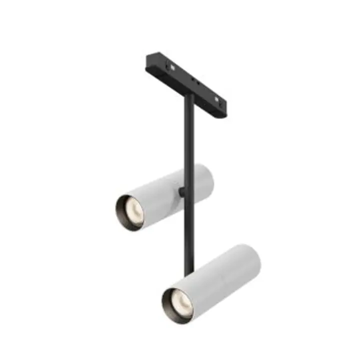 Track luminaire TR005-2-2X12W3K-BW