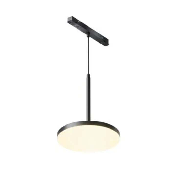 Pendant track luminaire TR123-2-15W3K-B