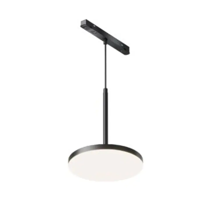 Pendant track luminaire TR123-4-15W-DS-B