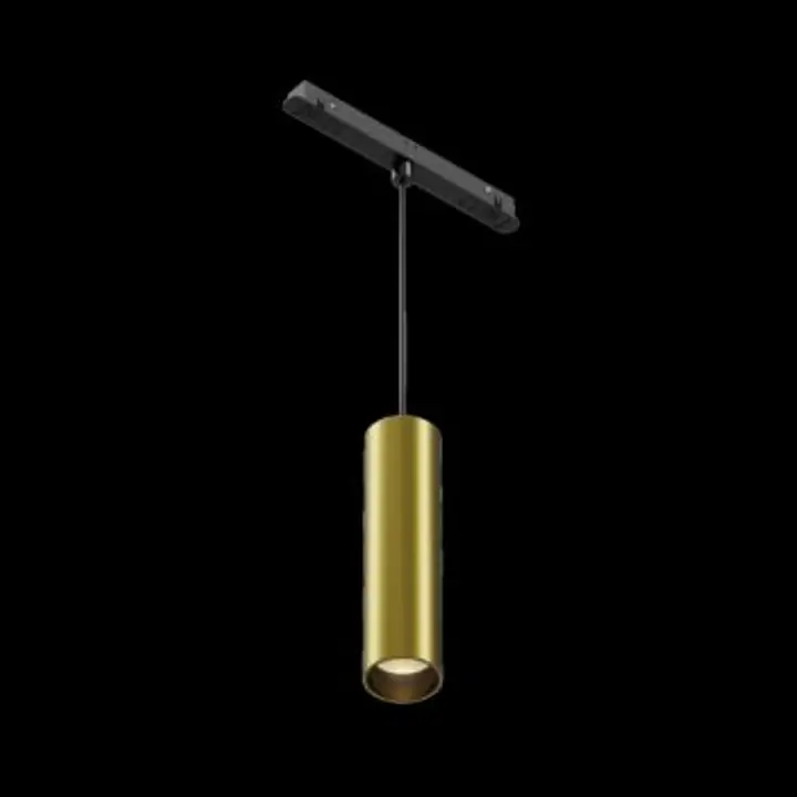 Pendant track luminaire TR041-2-12W3K-BBS