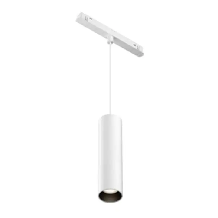 Pendant track luminaire TR041-4-12WTW-DD-W