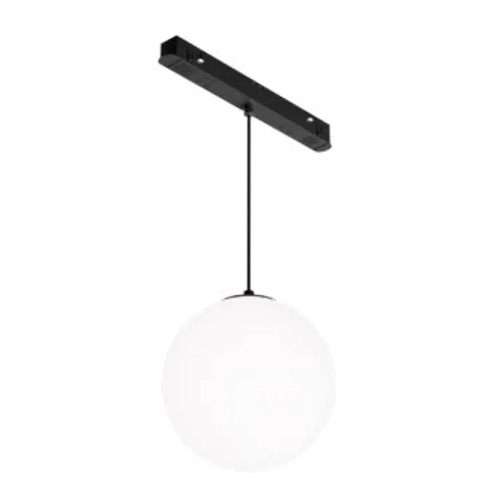 Pendant track luminaire TR039-4-5W3K-WW-DS-1