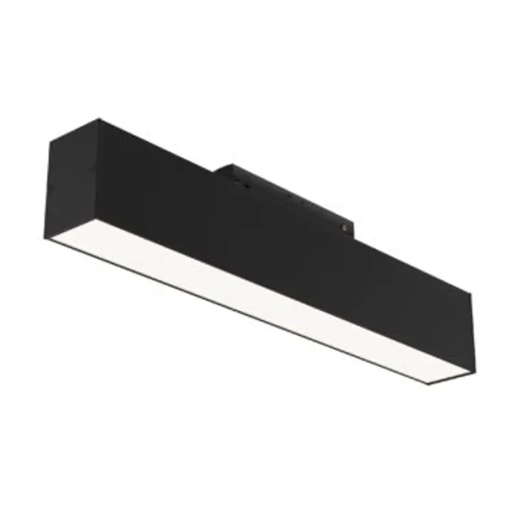 Track luminaire TR012-2-12W4K-B