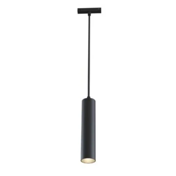 Pendant track luminaire TR016-2-12W4K-B