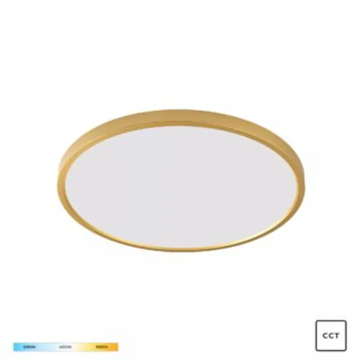 Plafoniera CAMI WM-BP1108-M-G