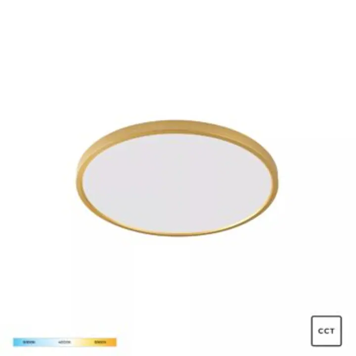 Plafoniera CAMI WM-BP1108-S-G