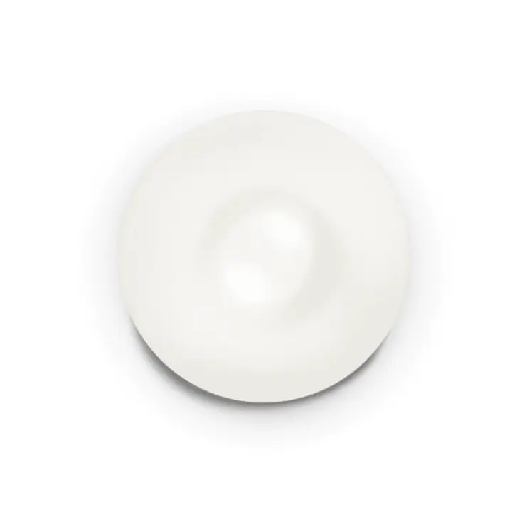 Plafoniera GLORY E27 max 2 x 60W
