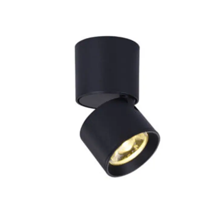 Corp Iluminat RA33LEDS6BK