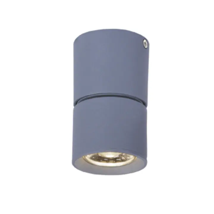 Corp Iluminat RA33LEDS6GY