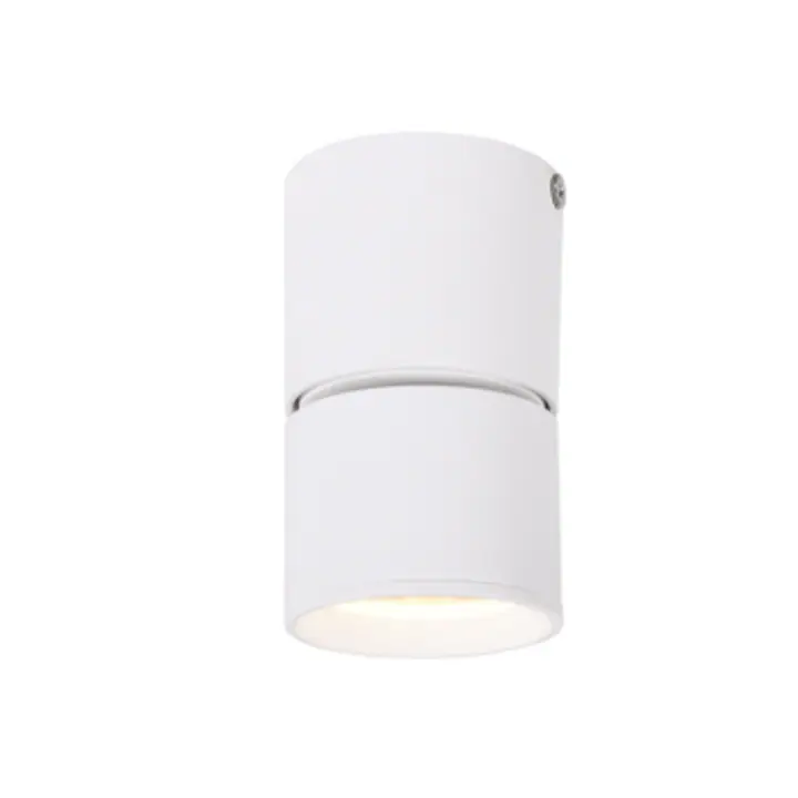 Corp Iluminat RA33LEDS6WH