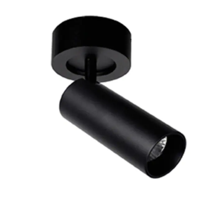 Spot Reeds 150 Negru