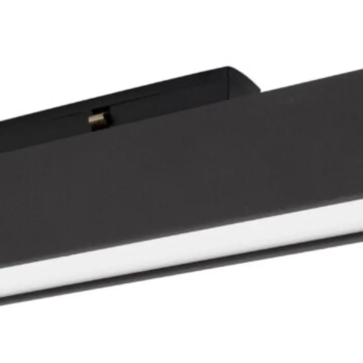 Profil magnetic RIETI 8254416