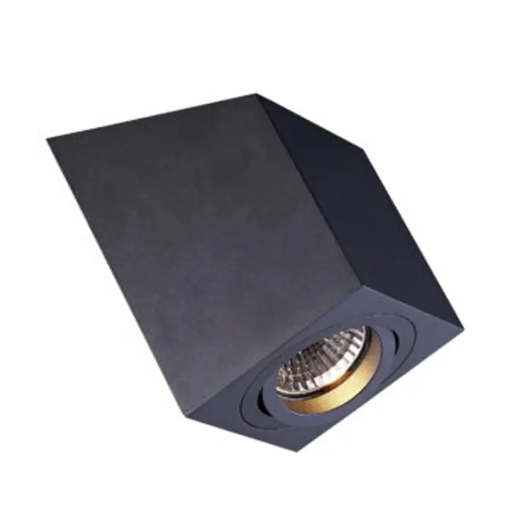 Spot Roncub ACGU10-137